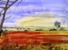 32. Poppies in Suffolk by Diane Poole.JPG